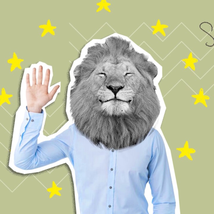 Explainer EU voorzitterschap